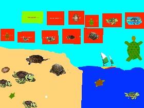 Turtle Clicker! 1