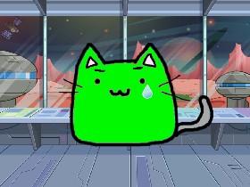 sick cat