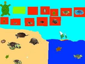 Turtle Clicker! 1