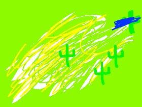 Cactus Draw