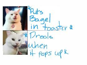 Fieldy&#039;s  Random meme