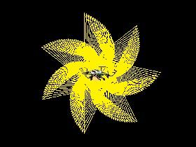Spiral Triangles 1 1