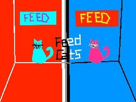 food kitten 1 1