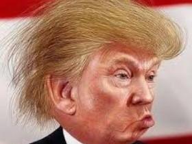build a wall
