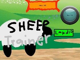 sheep trainer