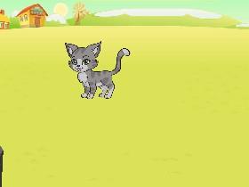 Laser pointer