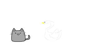 cat and swan