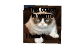 My Grumpy Cat
