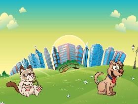 Dog and cat