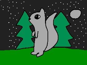 Serenity Squirrel