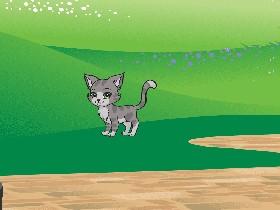 laser cat