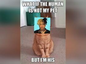 the best memes 1 1 1