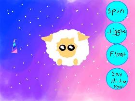 RAINBOW SHEEP 1
