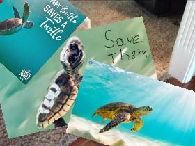 The Turtles Of Saving