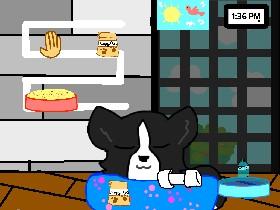 take care of my puppy 🐶🐶 1