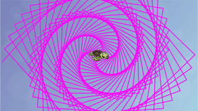 Spiraling Shapes
