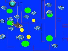 hungry tiger shark 1