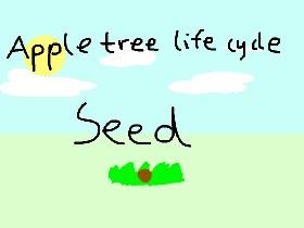 Apple tree life cycle.