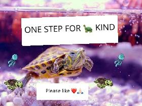 🐢🐢🐢🐢🐢🐢🐢🐢🐢🐢🐢🐢🐢🐢