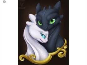 toothless and light fury