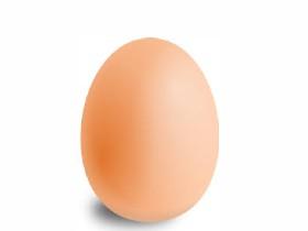 talking egg.