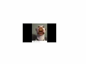 black walter