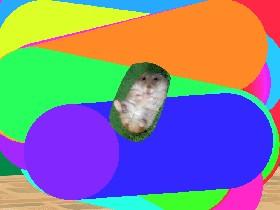 willie the hamter cool 1