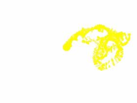 Spin Draw 1