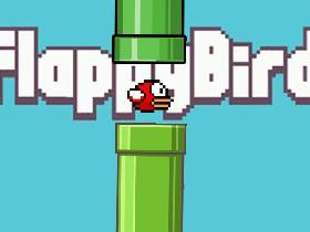 flappy bird  1 1