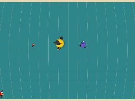Bird Mayhem 1