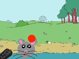 cat and the lazer 1