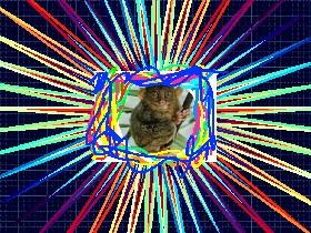 Shape monkey