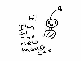 im the new mousecat