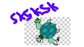 Vsco Turtle!!!