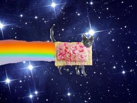 Real nyan cat 1