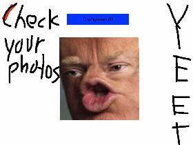 tronald dump