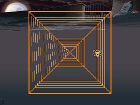 Spider Spin 1