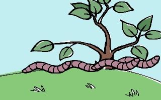 worm army