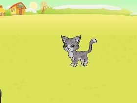 Kitten gets a dot 1