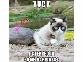 cat memes impossible