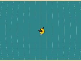 Bird Mayhem 1