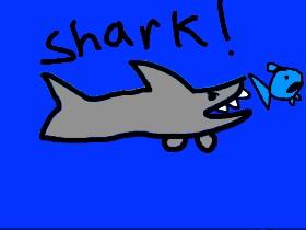 Shark! 1 1