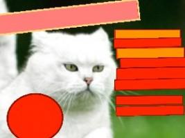 CAT CLICKER 1