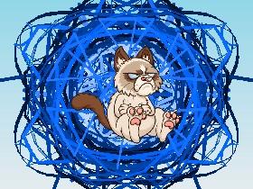 try to make the cat happy.