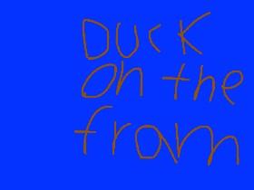 duck on the fram