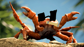 Crab rave