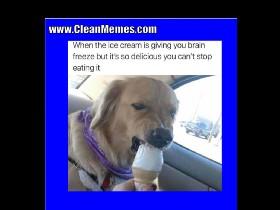 clean memes