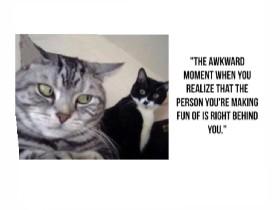 the best memes 1 1 1