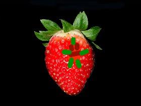 strawberry pf life