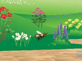 Bee Game
